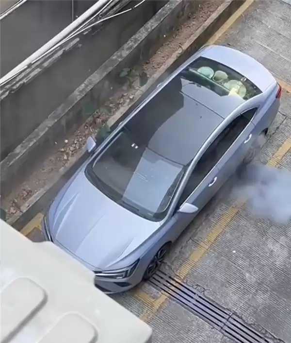 网友拍下飞凡ER6自燃全过程：从冒烟到爆燃仅30多秒