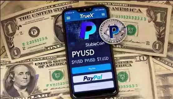 前Coinbase高管推出新交易所TrueX!主打PayPal稳定币PYUSD交易对