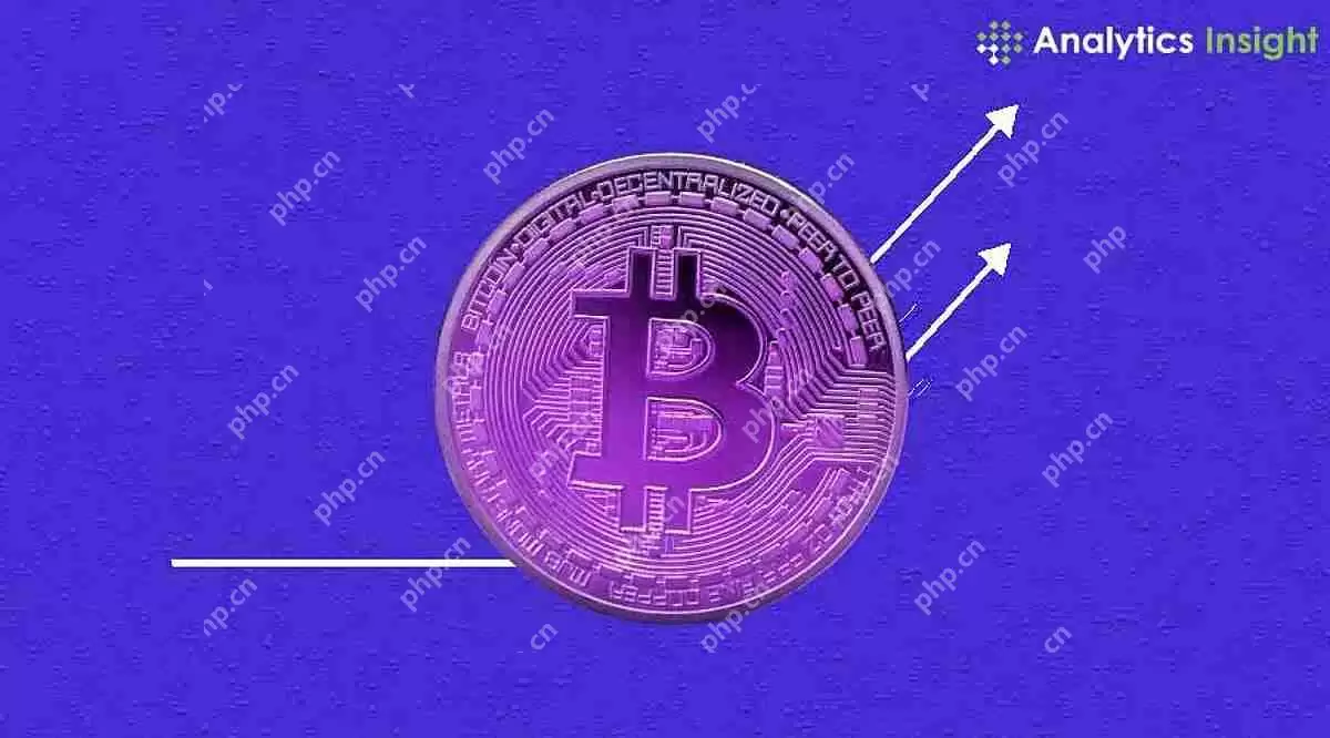 比特币战略财政储备达到553,555 BTC