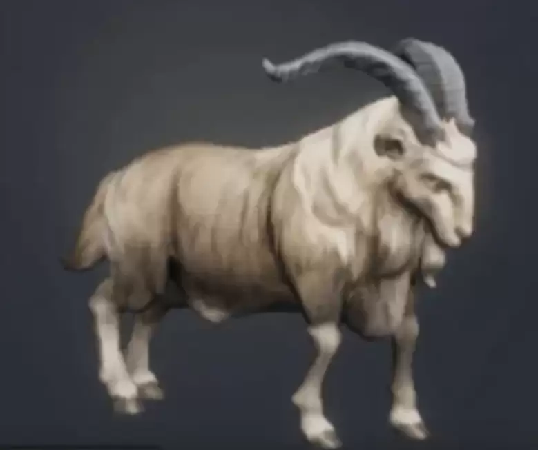 《荒野曙光》开荒宠物推荐