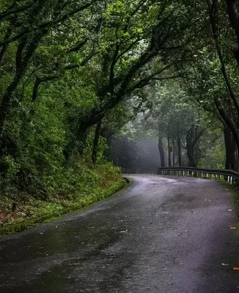 山路驾驶视线管理:看得远、看得宽、看得早