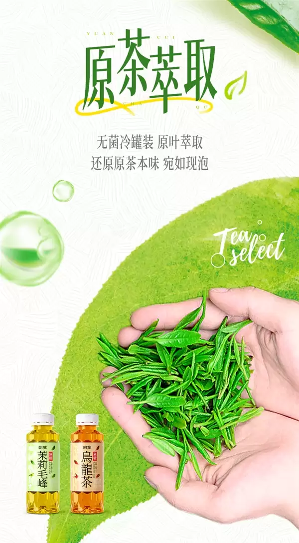 好茶无糖 口味回甘:达利园×朝叶无糖乌龙茶/陈皮白茶0.99元/瓶