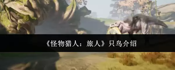 《怪物猎人:旅人》只鸟介绍
