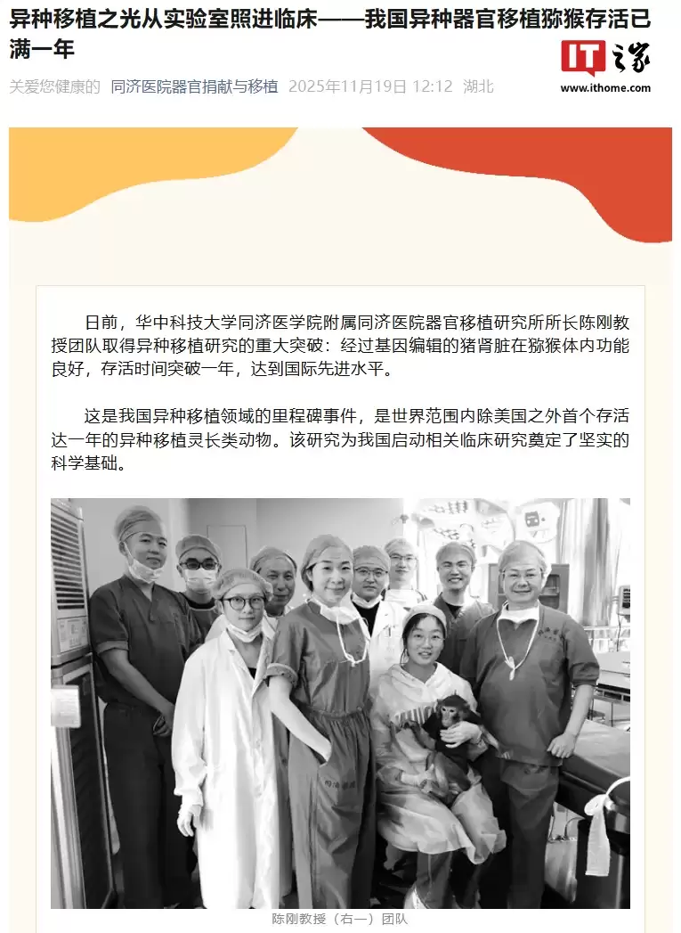实验到病床“最后一公里”:我国异种器官移植狒狒存活时间突破一年,达到国际先进水平