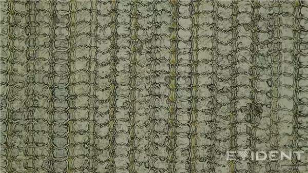 苹果又一突破:iPhone Air USB-C接口采用3D打印技术