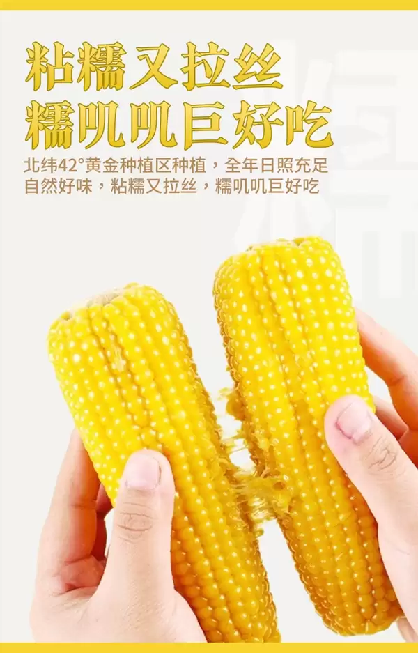 香软黄糯玉米！农投集团精选8棒装限时15.9元