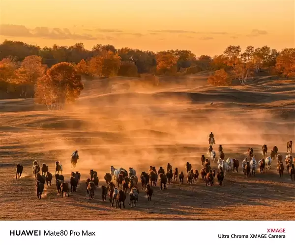 何刚晒华为Mate 80系列实拍样张:红枫影像色彩表现一绝