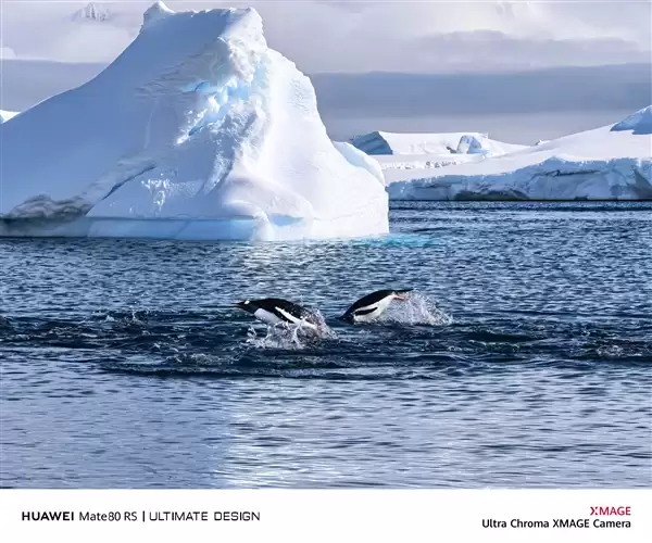 何刚晒华为Mate 80系列实拍样张:红枫影像色彩表现一绝