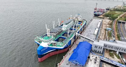 全球首创！漂浮式动力定位养殖平台“湛江湾1号”交付