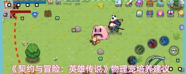 《契约与冒险：英雄传说》物理宠培养建议