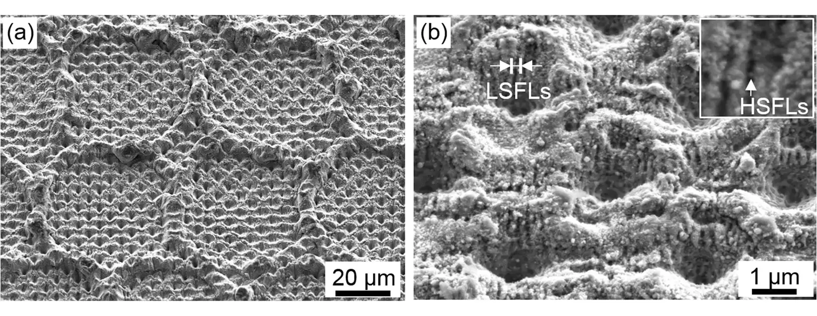 iFixit 剖解苹果 iPhone Air 的 USB-C 接口，首用3D打印金属组件