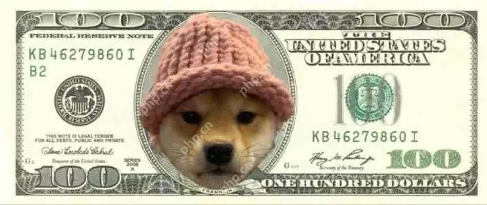 另一个爆炸性的加密公牛跑步正在进行中，索拉纳模因硬币再次领导集会。