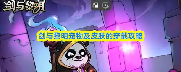 剑与黎明宠物及皮肤的穿戴攻略