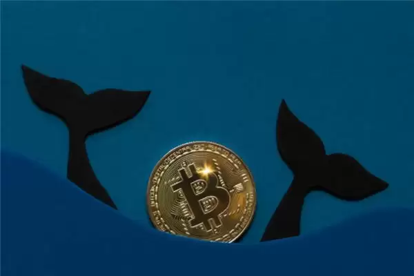 币交所区块链交易平台 币交所区块链交易平台