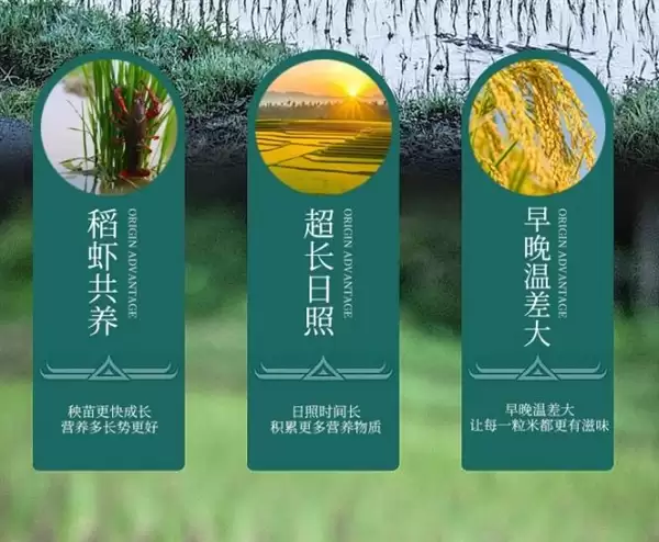 甘甜软糯：贺四喜稻虾香米29.9元10斤大促