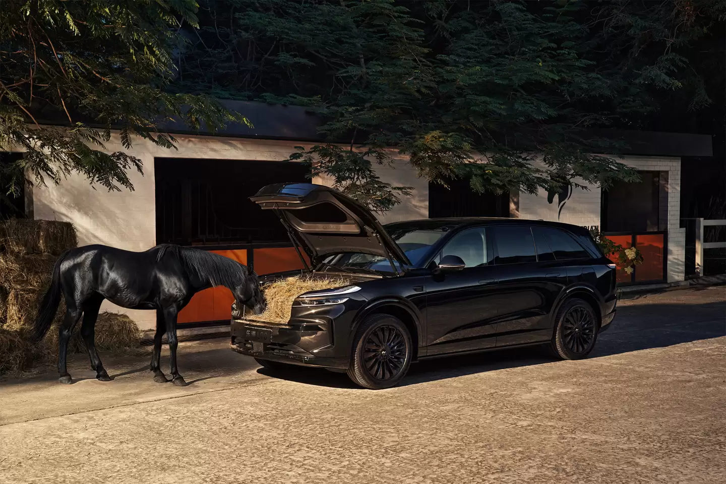 蔚来乐道L90黑骑士特别版上市：30.68万 / 租电22.08万元，限量999台