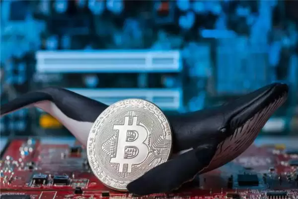 国内有BTC币交易所吗?全球区块链BTC币交易平台-147