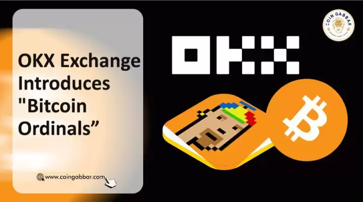 泰达币期权交易平台(345)