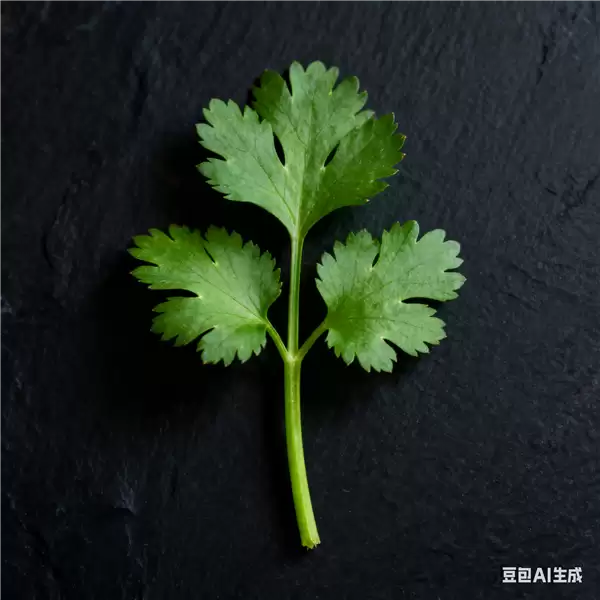 研究新发现:突然爱上香菜可能因为你老了