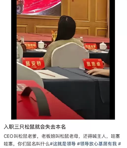 三只松鼠企业文化引热议：员工都有“鼠名” CEO叫松鼠老爸