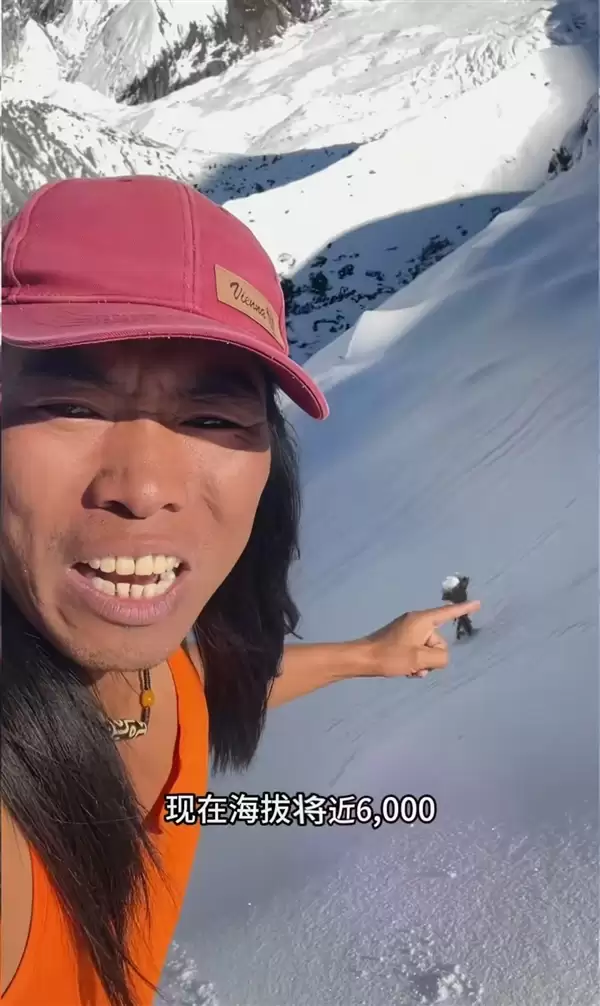 硬核博主只穿背心爬雪山：在海拨6000米处发现雪莲花