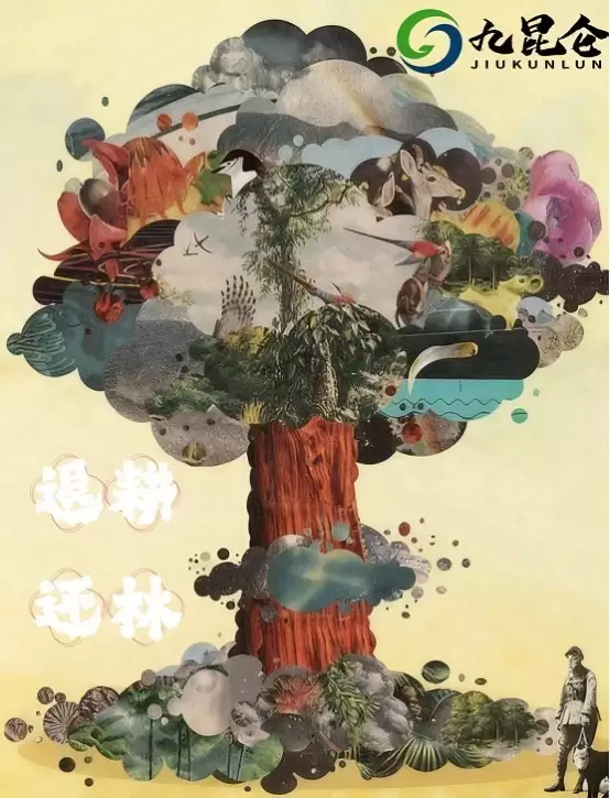 从空中看碳,从数据管碳:走进九坤昆仑的智慧低碳体系