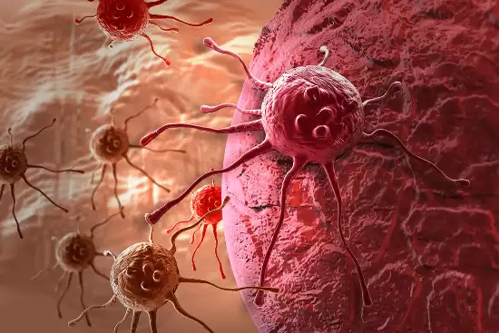 社会行为影响癌症演化:合作物种更抗癌