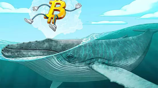 比特币鲸鱼吸收了新挖矿比特币供应的300%—下一个目标是10万美元吗？