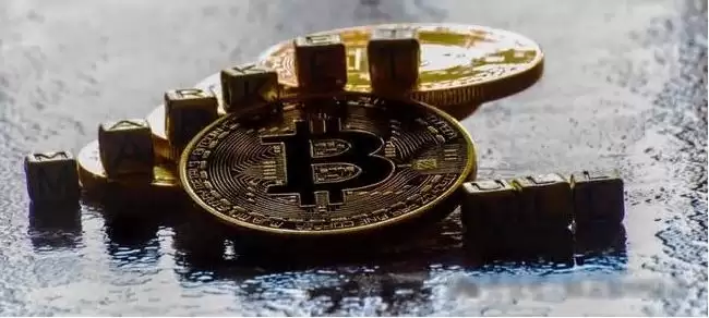 2025年山寨币命运如何？是否大势已去，一文不值？