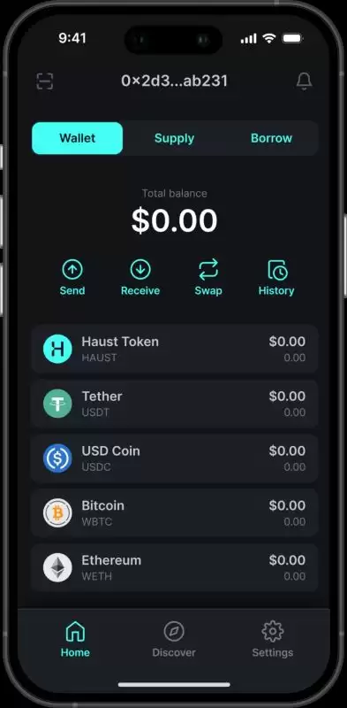 什么是HAUST币？HAUST代币经济学、团队背景、特点、使用方法介绍