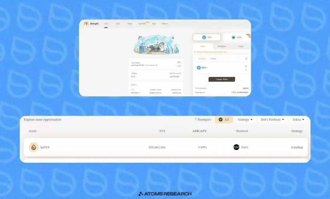 2025年5月最值得关注的5种Sui MEME币推荐