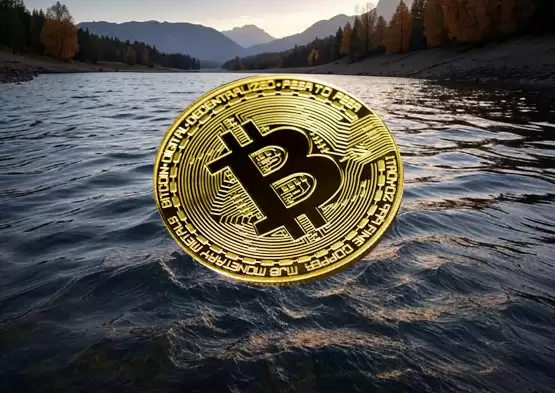 贝莱德IBIT比特币现货ETF连20日资金流入！高盛加速布局，成为市场关注焦点