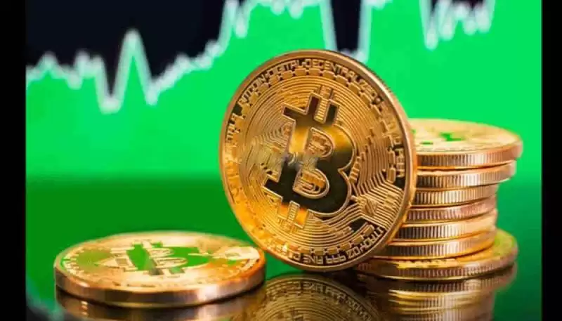 山寨币哪些最有前景?2025十大潜力山寨币盘点