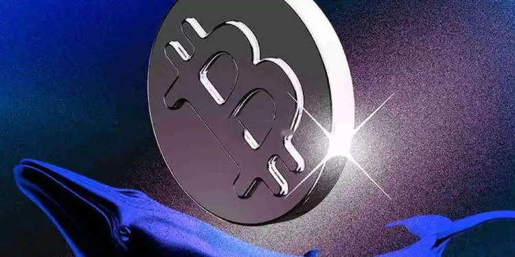 知道合约地址怎么找人？真的能找吗？