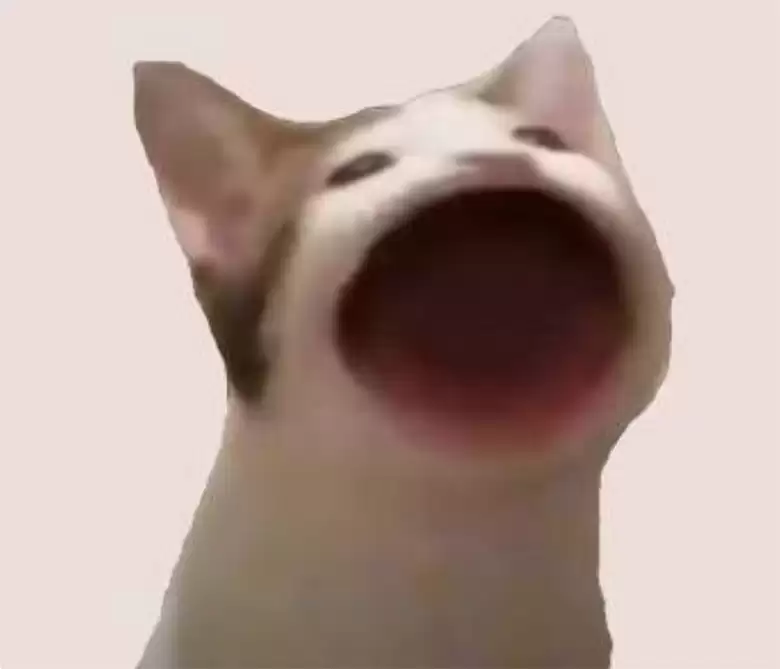 致富还是大笑:想利用这些愚蠢的模因币致富吗?