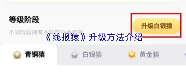 《线报猿》升级方法介绍