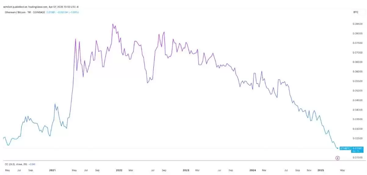 市场崩盘时,应该买什么？加密VC正押注这几类项目