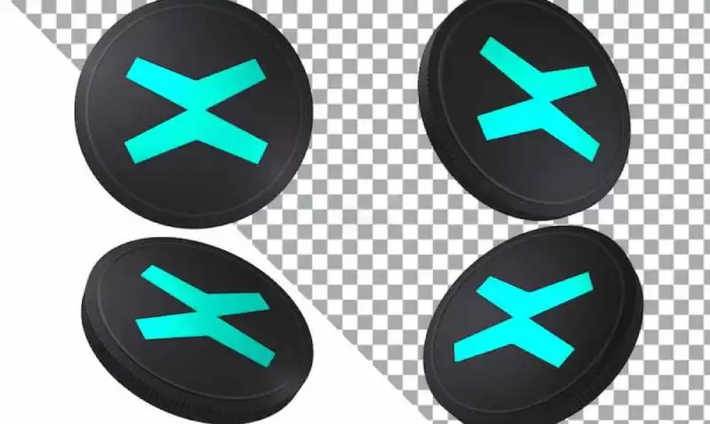 EGLD币有百倍潜力吗?EGLD币值得长期持有吗?