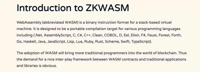 zkWASM是什么?zkWASM未来展望和应用场景介绍