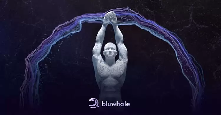Bluwhale Network(BLUAI)币是什么？如何参与空投,未来潜力如何？