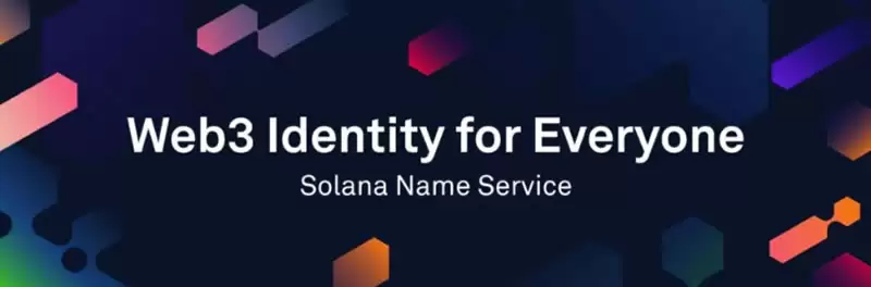 什么是Solana名称服务(SNS)币?SNS代币经济学、功能及未来分析