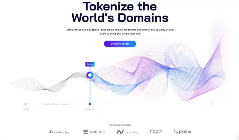 什么是D3币？未来发展如何？D3币背景、挑战全面解读