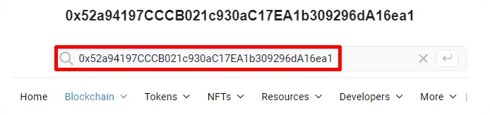 Etherscan 搜索框
