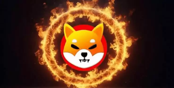 SHIB暴涨行情分析