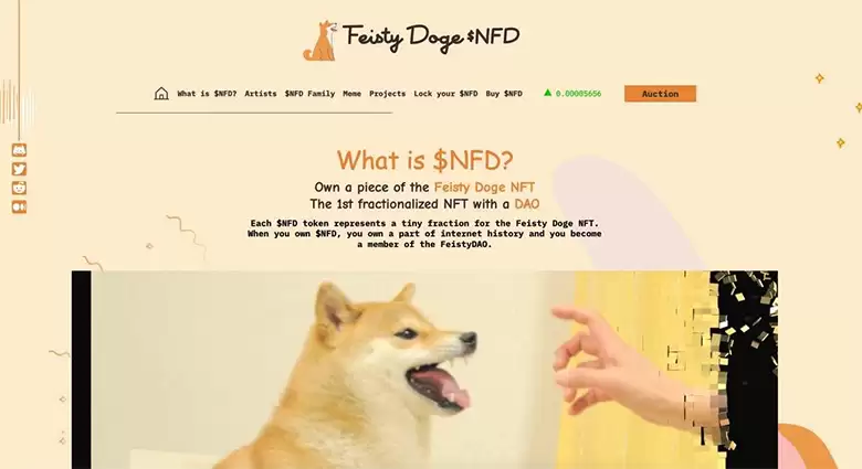 NFD币合约地址是多少？NFD币合约地址介绍