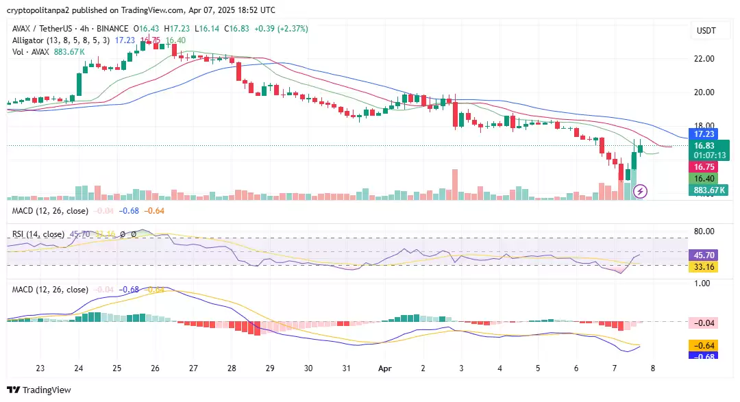 AVAX价格走势预测:雪崩币能到1000美金吗？有投资价值吗？