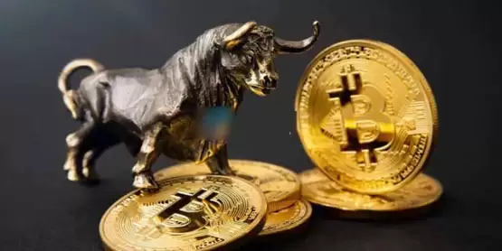 比特币减半满周年、涨逾三成！机构进场加速牛市