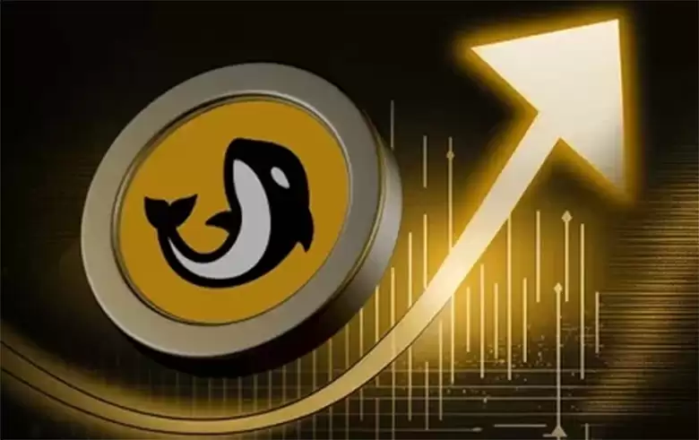 什么是熊市?2025年熊市中值得关注的顶级加密代币盘点