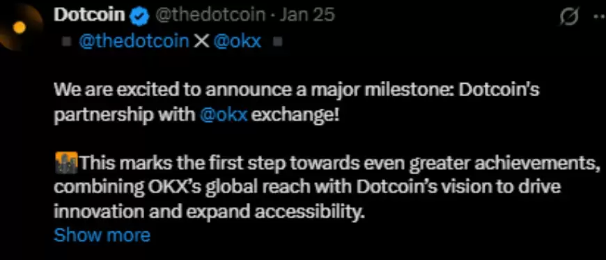 Dotcoin 上市日期更新：$DOT 会在币安和 OKX 上市吗？