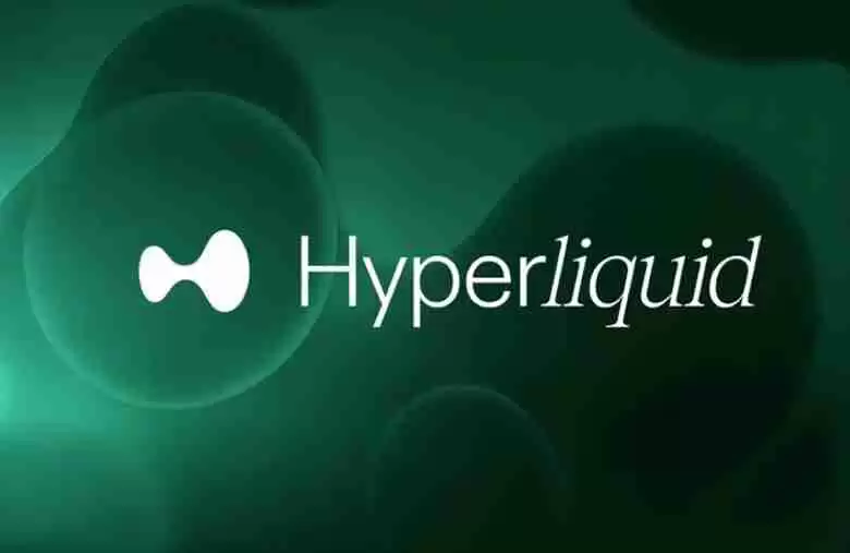 永续 DEX 里的头号玩家,HYPE 未来市场走势如何让?一文分析